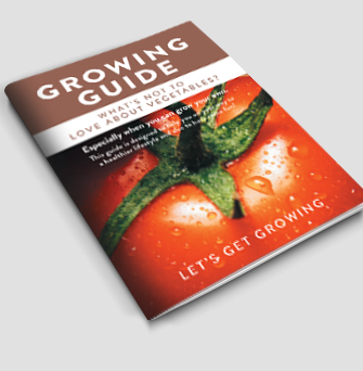 A6 Booklets